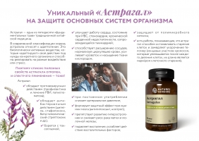 Астрагал перепончатый (Astragalus membranaceus) – наиболее известен благодаря его применению в традиционной народной китайской медицине. Исторически использовался в качестве иммуномодулирующего средства для лечения простуды, диареи, усталости и анорексии. Как адаптоген, астрагал помогает организму справляться со стрессом и отвечать на физические, умственные и эмоциональные раздражители